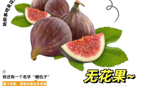 槟榔花的功效和作用及禁忌-槟榔花的功效网-分享槟榔花的功效与作用吃法，槟榔花的功效与作用主要治什么病症知识库